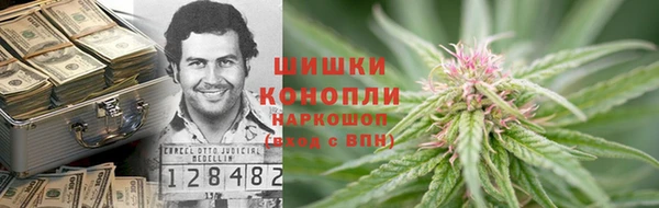 СК Вяземский