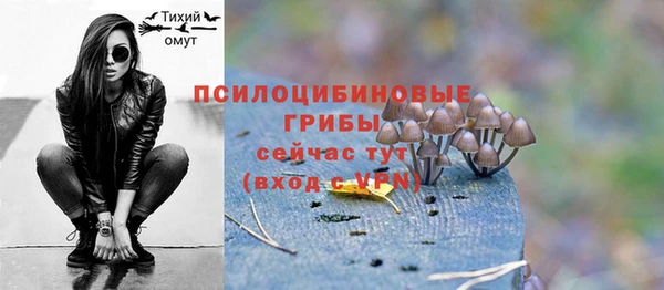 бошки Верхний Тагил