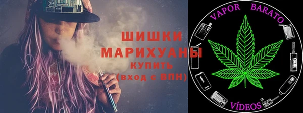 СК Вяземский